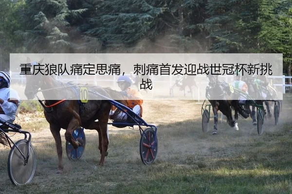 chong-qing-lang-dui-tong-ding-si-tong-ci-tong-shou-fa-ying-zhan-shi-guan-bei-xin-tiao-zhan-2-186.jpg